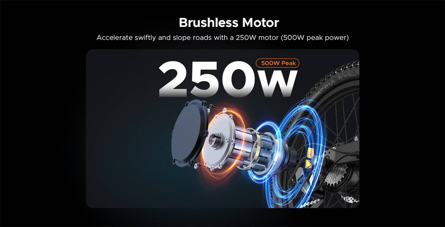 250w Brushless Motor