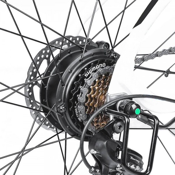 FAFREES F100 26 Zoll Elektro-City-Bike 48V 11.6Ah Abnehmbarer Akku Shimano 7-Gang-Schaltung LED-Anzeige Aluminium-Legierung Rahmen