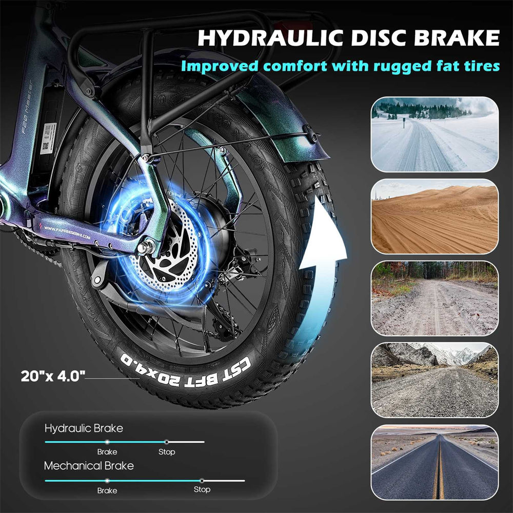 Dual Hydraulic Brakes