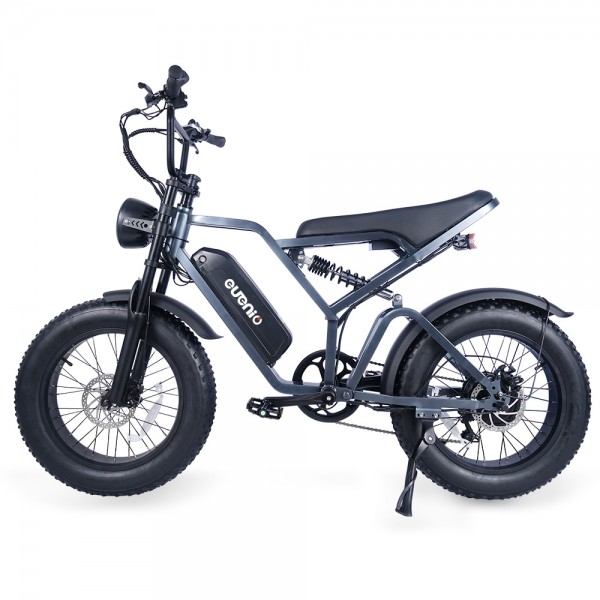 EUENI FXH009 Electric Mountain Bike