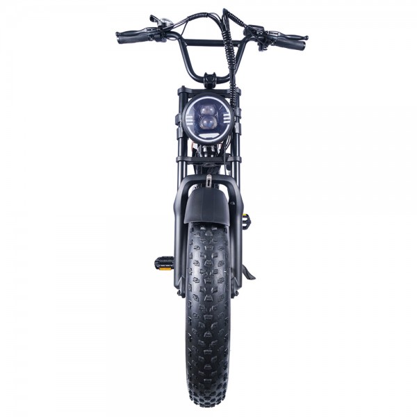 EUENI FXH009 Electric Mountain Bike