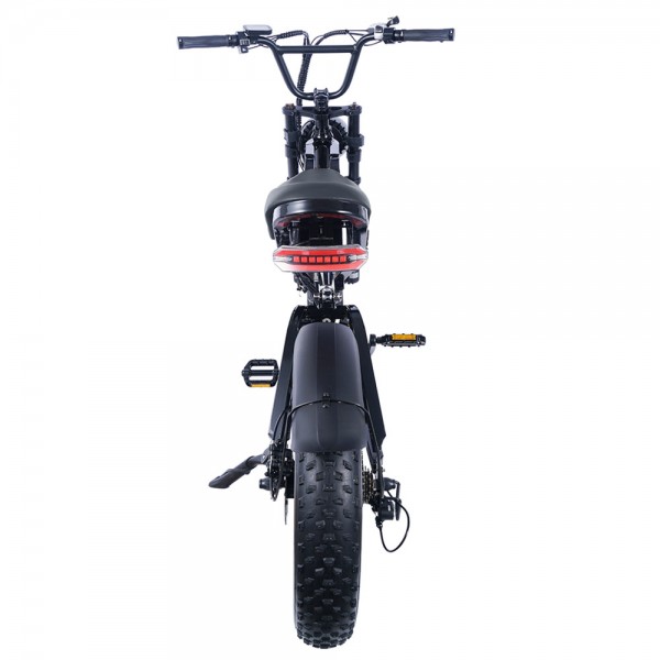 EUENI FXH009 Electric Mountain Bike