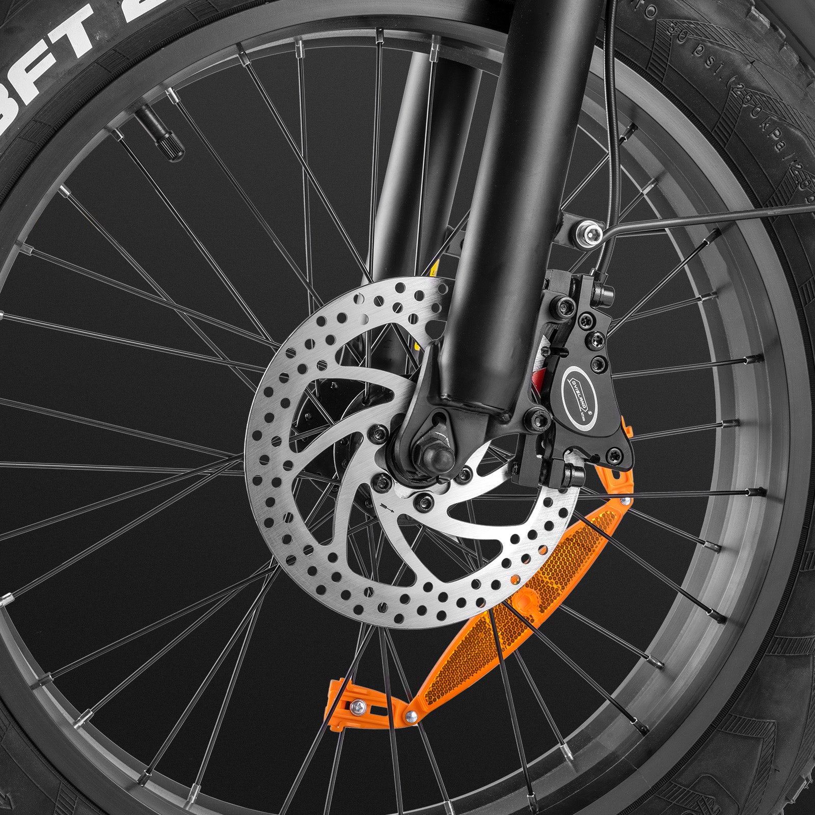 Dual Hydraulic Brakes