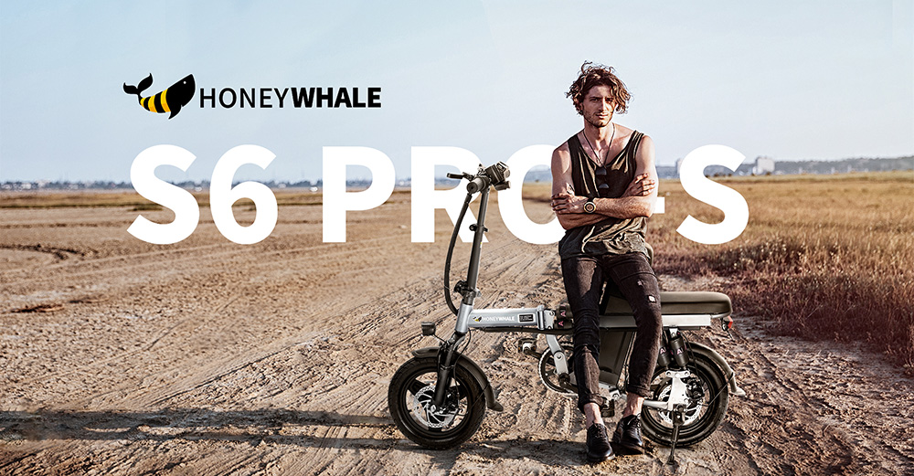 HONEYWHALE S6 Pro Electric Bike 14 inch Tire 350W 48V 15Ah