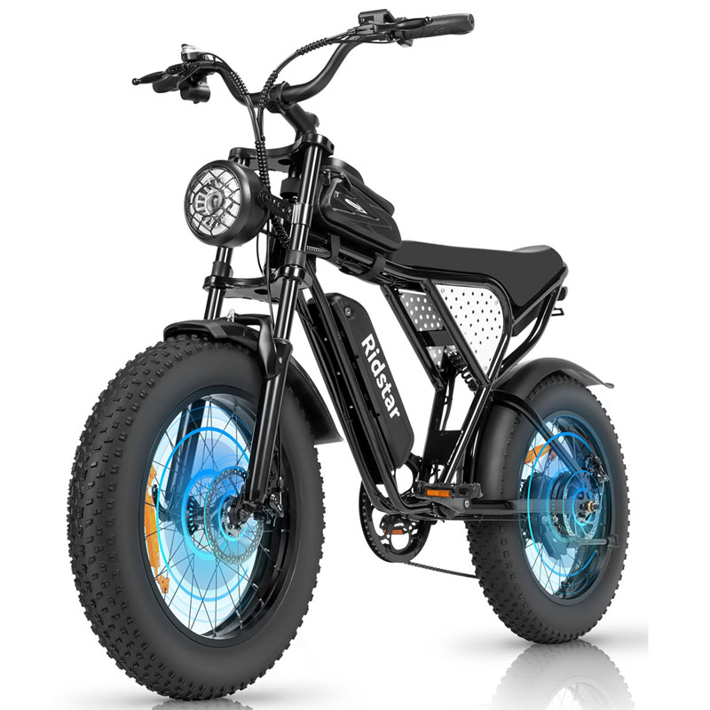 Dual Disc Brakes