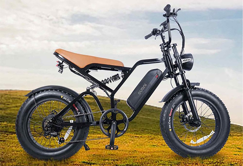 EUENI FXH009 Pro električni bicikl 20x4.0 inča Fat Tire 750W motor 48V 15Ah baterija
