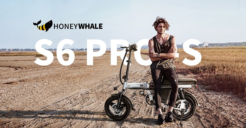 HONEYWHALE S6 Pro-S Bicicletta elettrica pieghevole per adulti 14 pollici Pneumatico 350W 15Ah Freno a disco Sei ammortizzatori