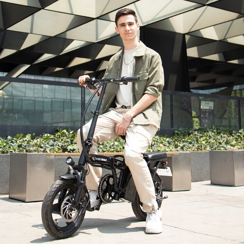 HONEYWHALE S6-S 14 Zoll bereiftes Elektro-Faltrad für Erwachsene