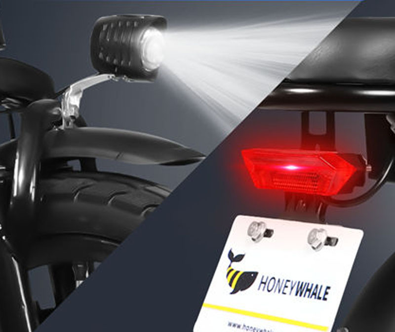 HONEYWHALE S6-S 14 Zoll bereiftes Elektro-Faltrad für Erwachsene