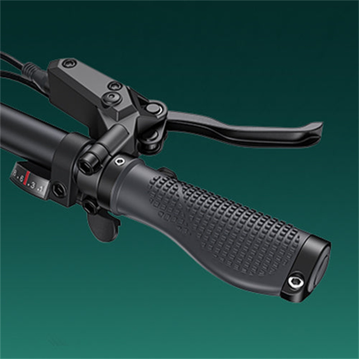 ENGWE ENGINE Pro 2.0 Elektro-Faltrad 20 Zoll Reifen 16Ah Akku Shimano 8-Gang
