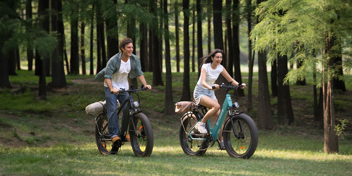 ENGWE E26 Rothar Leictreach Céim os cionn 26*4.0 orlach Tíre Saill 250W 16AH Coscán Diosca Hiodrálacha