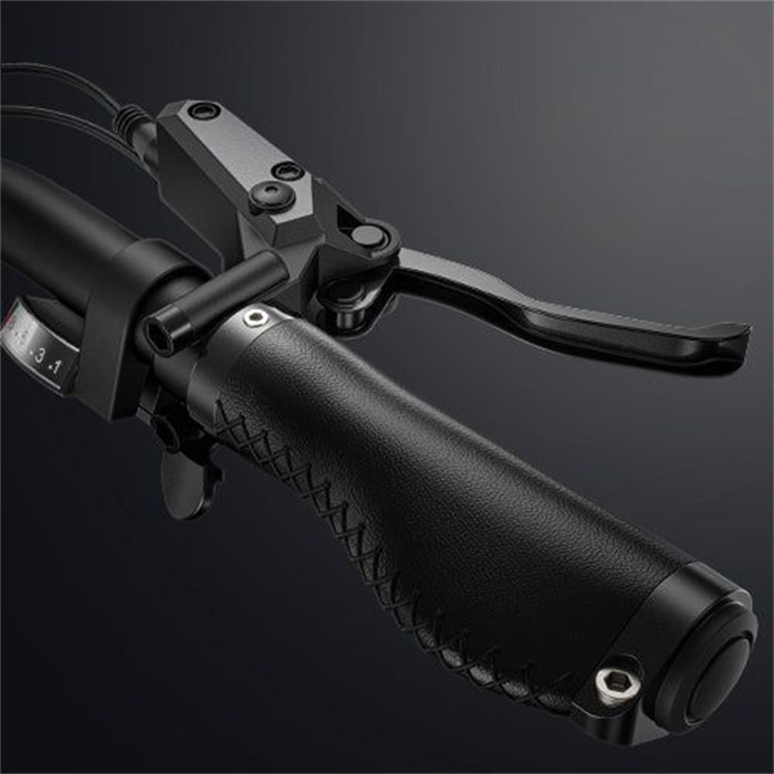 ENGWE X20 Electric Bike 20*4.0 inch Fat Tire 750W 14.4Ah and 7.8Ah Dual Battery Triple Suspension 8 Speed