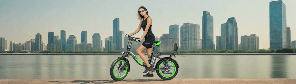 Hidoes C1 Urban Electric Bike with Rear Seat 20*3.0 inch Fat Tire 750W 13Ah Dual Disc Brake Max 40km/h 70km Range
