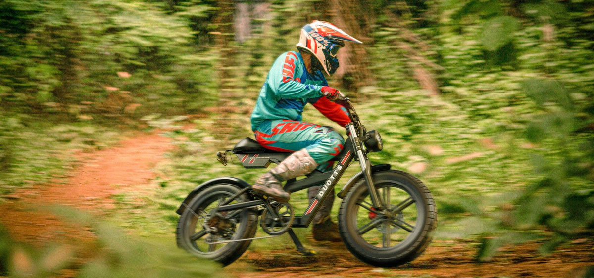 DUOTTS F20 Retro electric bike 20*4.0 Inch Fat Tire 750W Motor 52V 27Ah Battery Max 50km/h 120km Range