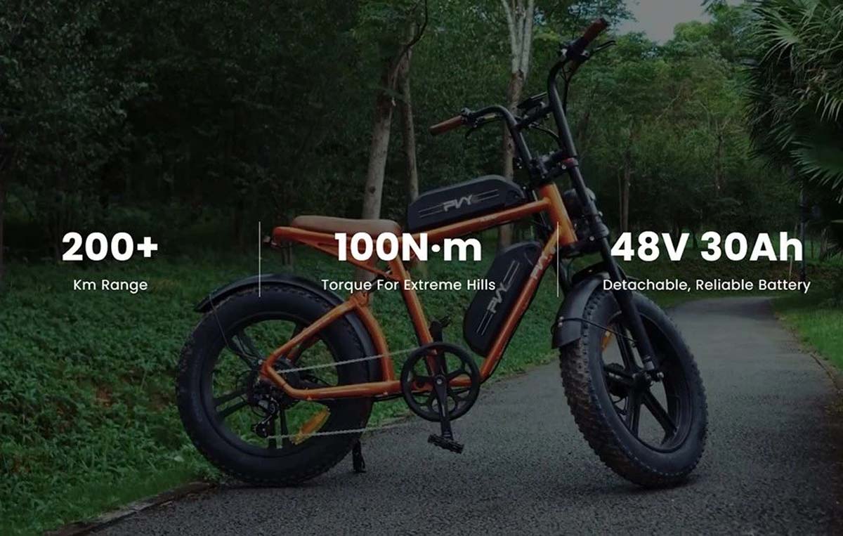 Rothar Leictreach PVY X20 1000W Mótar 48V 30Ah Dé-ceallraí 20* 4.0'' Tíre Saille Uasmhéid 50km/u Raon 200km
