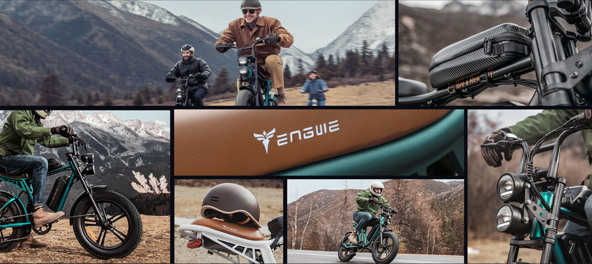 ENGWE M20 Plus Electric Mountain Bike 750W Motor 2*13Ah Batteries 20*4.0 inch Fat Tires 45km/h Max Speed