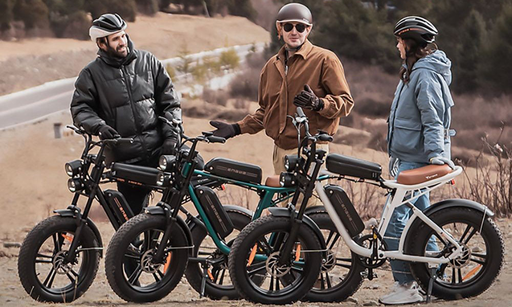 ENGWE M20 Plus Electric Mountain Bike 750W Motor 2*13Ah Batteries 20*4.0 inch Fat Tires 45km/h Max Speed