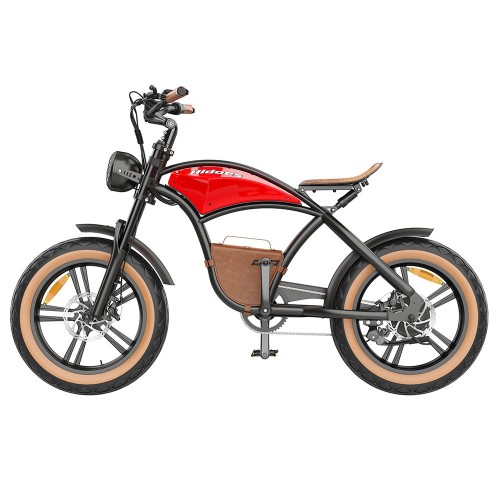 Hidoes B10 Electric Bike 1000W Motor 48V 13Ah Battery 20 x4.0 inch Fat Tire Max  45km/h 60km Range