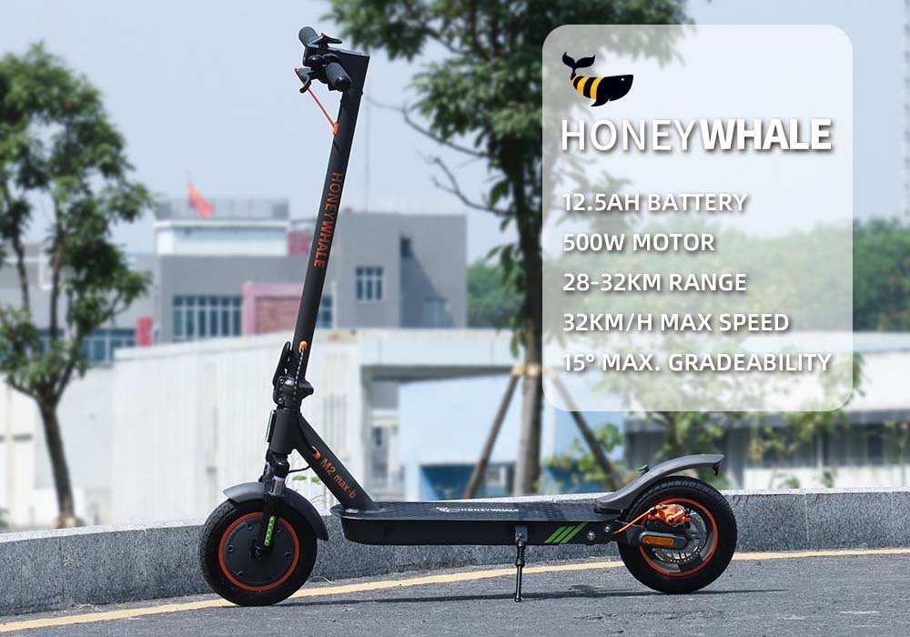 HONEYWHALE M2 MAX-B Scooter elettrico pieghevole 10 pollici Pneumatico 500W motore 12.5Ah Batteria 32km/h 32km Range con Seat Segnale di svolta