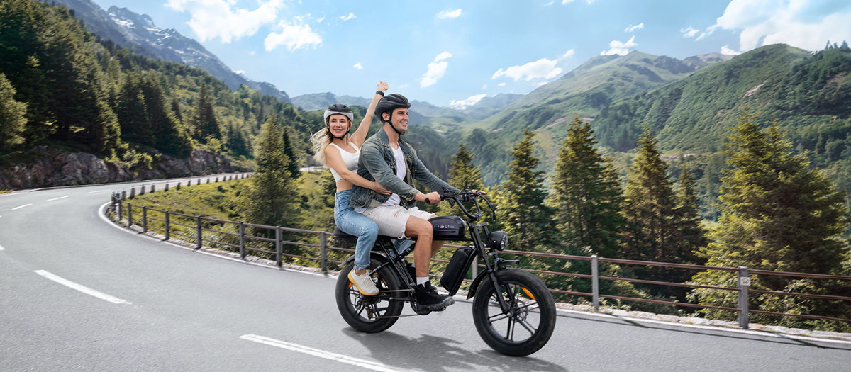 ENGWE M1 Vélo électrique 250W Moteur 20*4.0 pouces Fat Tire 48V 15.6Ah+13Ah Batteries doubles 170km d'autonomie