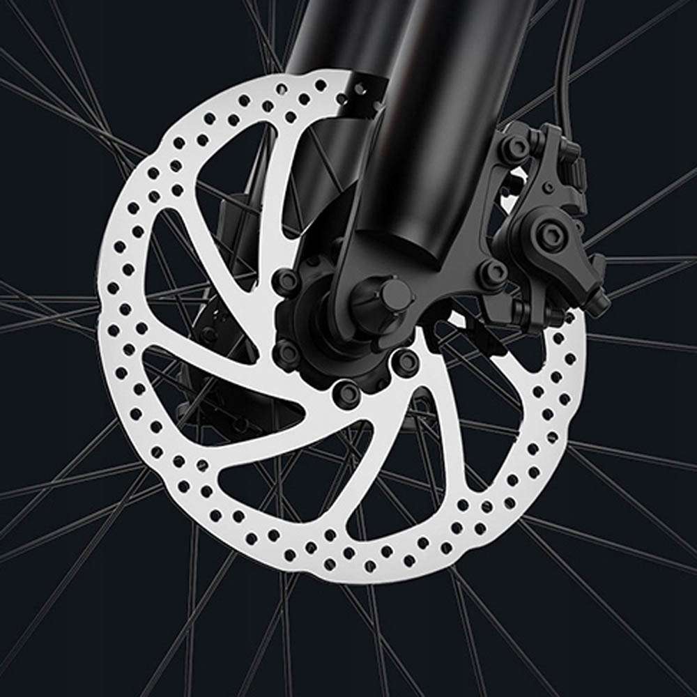 Dual Mechanical Disc Brakes