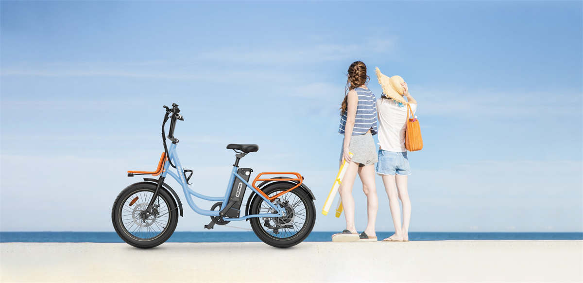 Hidoes C6 Електрически велосипед 20 * 3 инча гуми 250W мотор 36V 13Ah батерия Макс 25km / h 35km 7 скорост