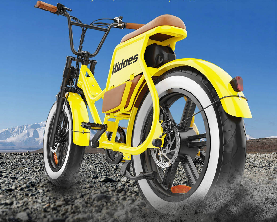 Dual Disc Brake & 20x4 Inch Off-road Tires