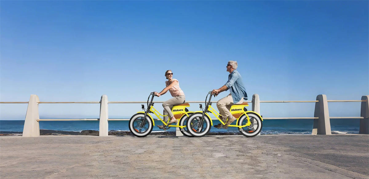 Hidoes C8 Electric Bike 20*4 inch Fat Tire 700W Motor 48V 17Ah Battery Max  40km/h  55km 7 Speed