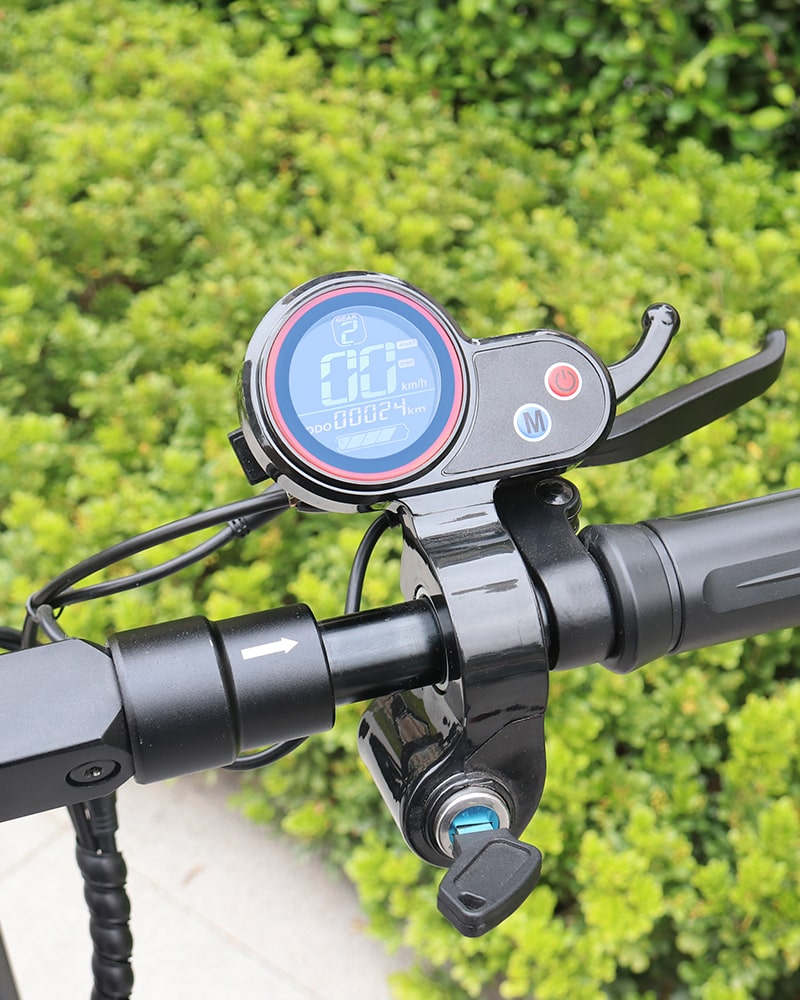 IENYRID A1 Elektroroller 250W 48V 12.5Ah 10 Zoll Reifen 20-30km Reichweite Federstoßdämpfer