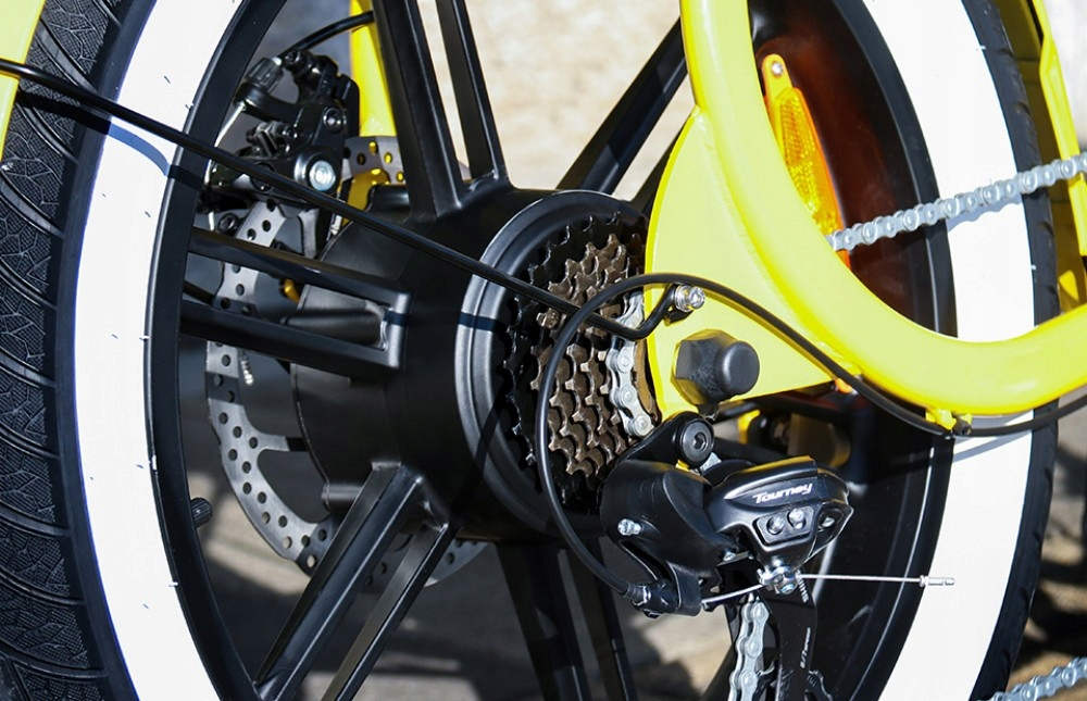 Hidoes C8 Electric Bike 20*4 inch Fat Tire 700W Motor 48V 17Ah Battery Max  40km/h  55km 7 Speed