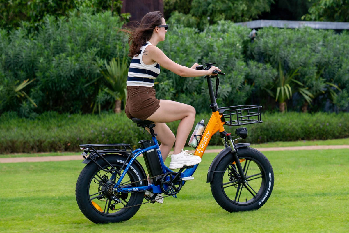 Ridstar MN20 Folding Electric Bike 20*4.0 inch Fat Tire 1000W Motor 48V 15Ah Battery Max 48km/h 70km Shimano 7 speed