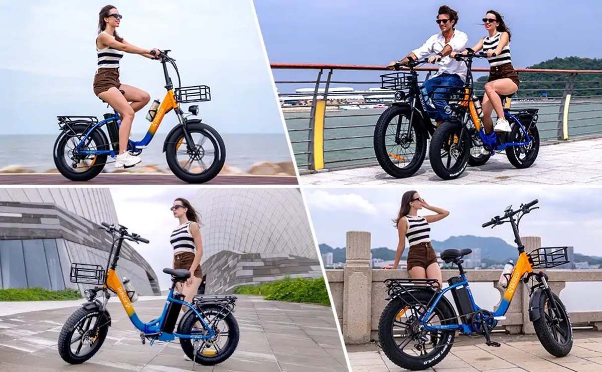 Ridstar MN20 Folding Electric Bike 20*4.0 inch Fat Tire 1000W Motor 48V 15Ah Battery Max 48km/h 70km Shimano 7 speed