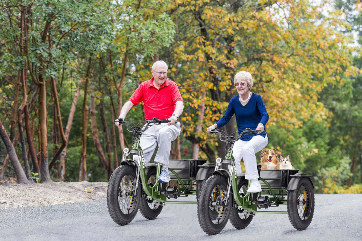 Hidoes HD-ET1 Tricycle électrique avec porte-bagages arrière 750W 48V 20Ah 20*4.0-inch Tire 3 Disc Brake Front Suspension