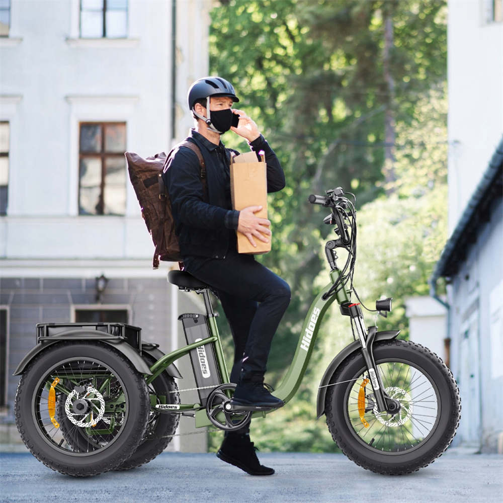 Hidoes HD-ET1 Tricycle électrique avec porte-bagages arrière 750W 48V 20Ah 20*4.0-inch Tire 3 Disc Brake Front Suspension