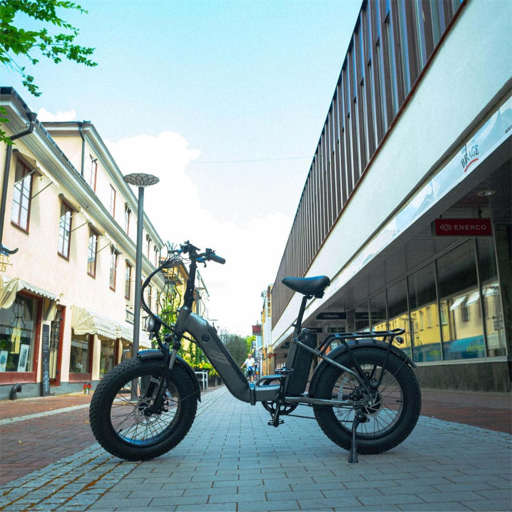 Fafrees FF20 Polar Bicicleta elétrica 20 polegadas Fat Tire 500W Motor, 48V 24Ah Baterias duplas Max 45km/h 150km-L1e-B Certificado