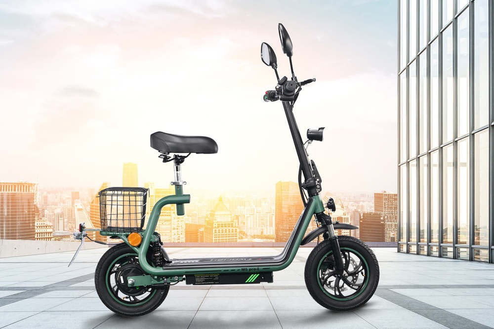Twofish M5 Pro-E EEC Scooter