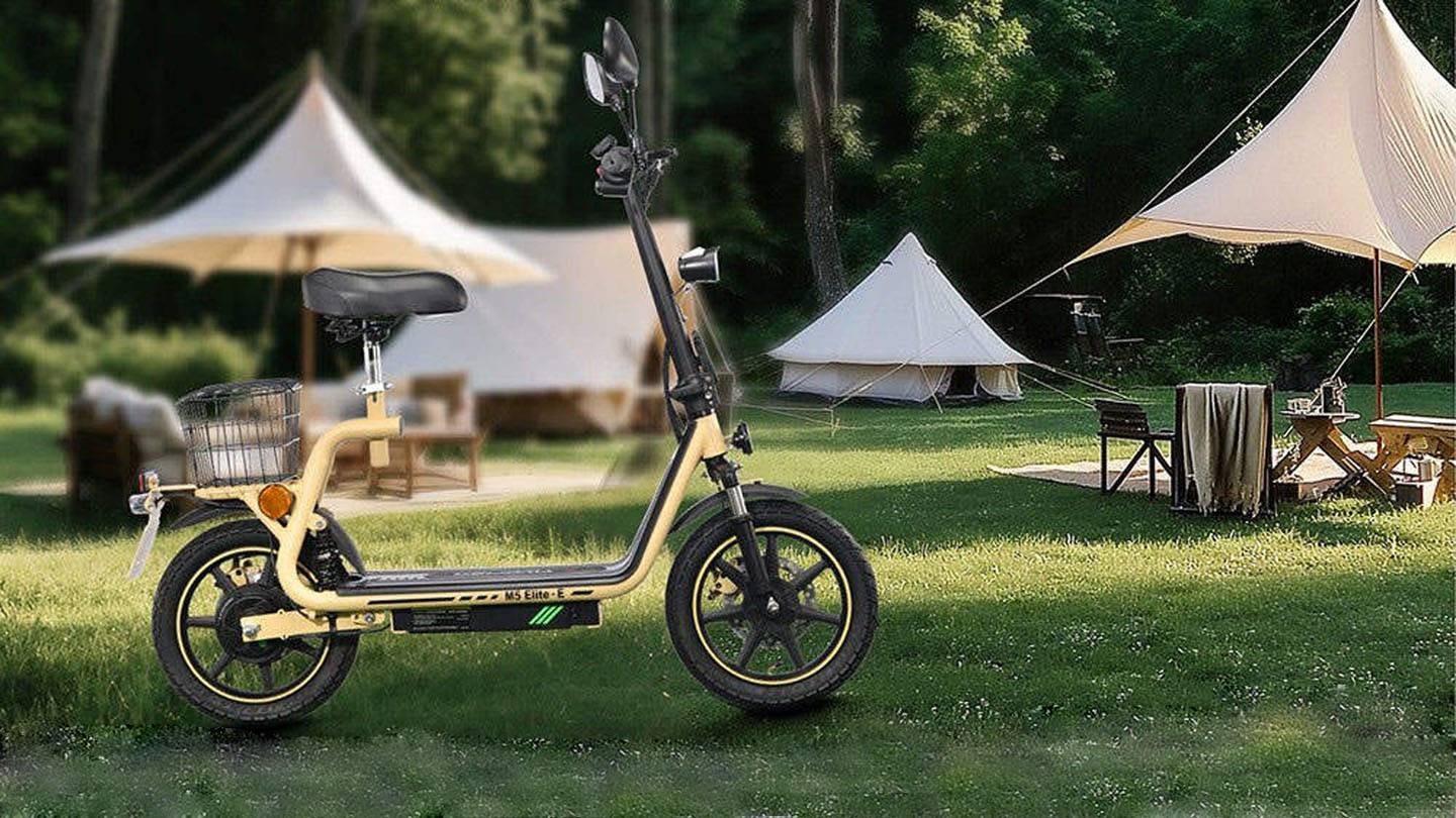 TWOFISH M5 Elite-E Electric Scooter