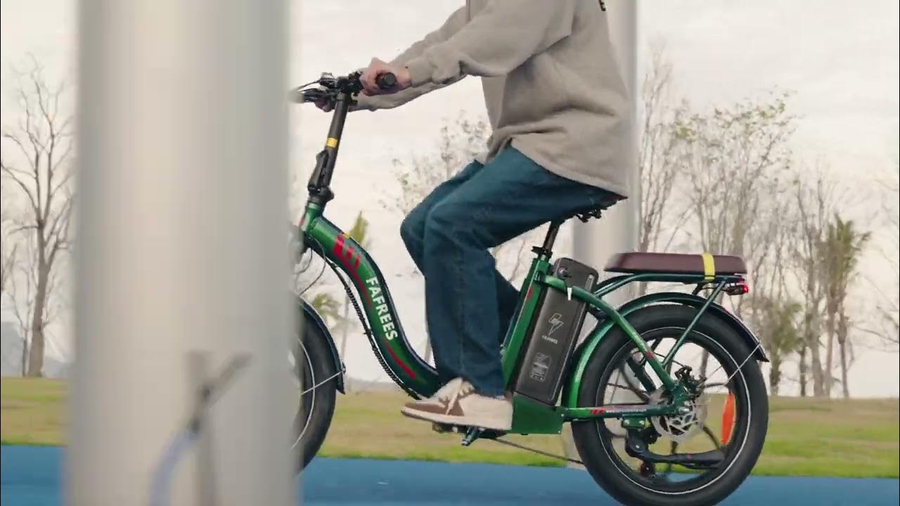 Fafrees F20+ Folding Electric Bike 250W 36V 20Ah 20 Zoll Reifen Max 25km/h 90km PAS