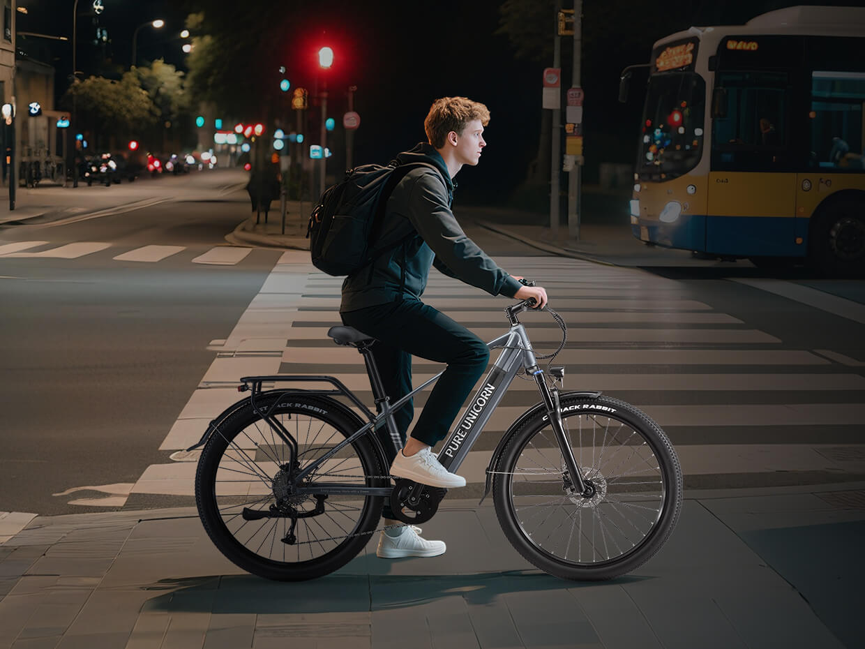 PURE UNICORN U6 Electric Bike 500W 48V 14Ah 29 inch Tire Max 35km/h 70km