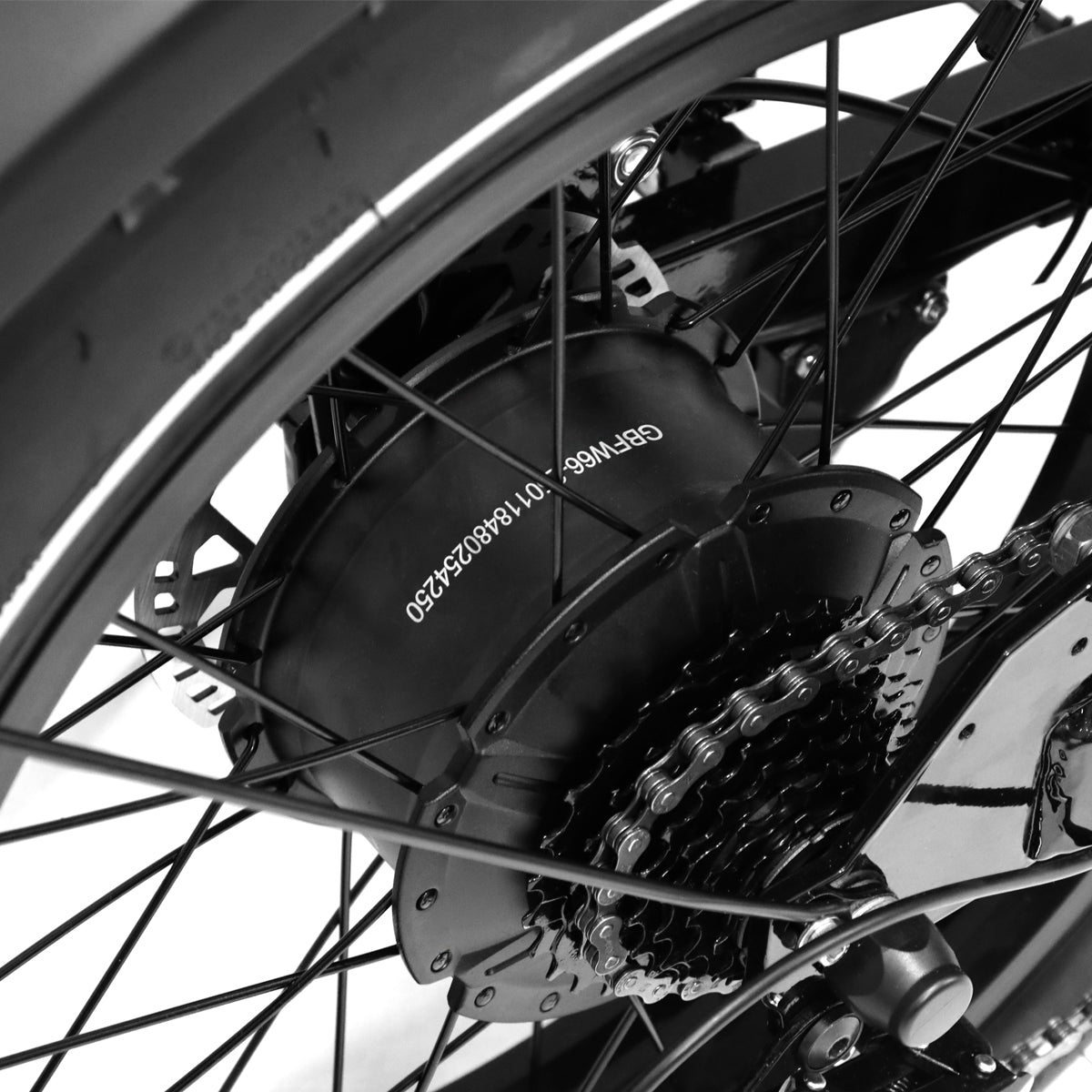 48v 250w Motor (peak 500w) With 65nm Torque