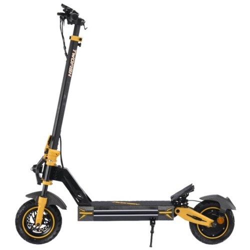 TWOFISH V2 MAX Elektro-Scooter 800W 48V 20Ah 10 Zoll Reifen 50km/h 50km NFC Unlock