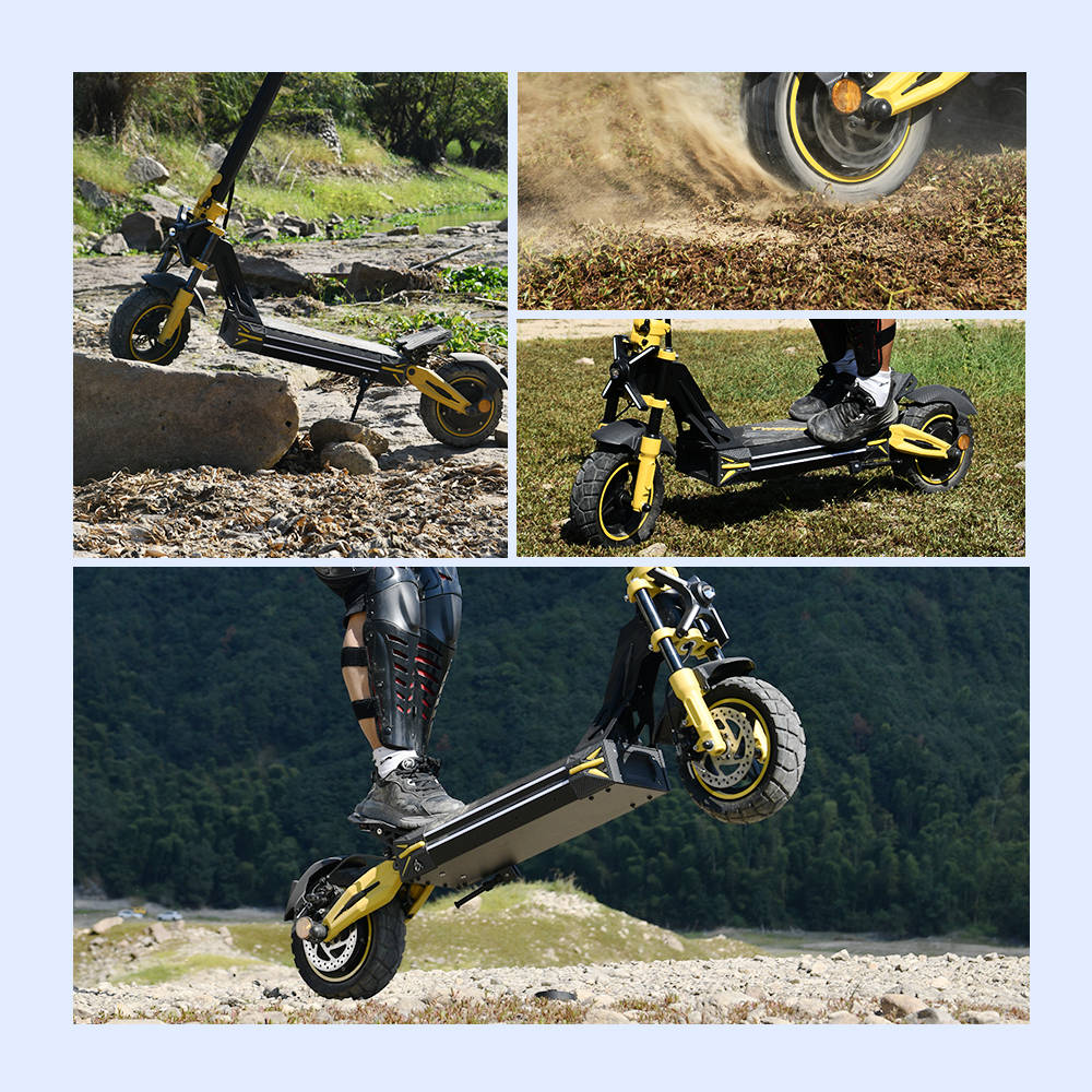 TWOFISH V2 MAX Electric Scooter, 800W Motor, 48V 20Ah Battery, 10 Inch Tires, 50km/h Max Speed, 50km Range, Dual Disc Brake, LCD Display, NFC Unlock