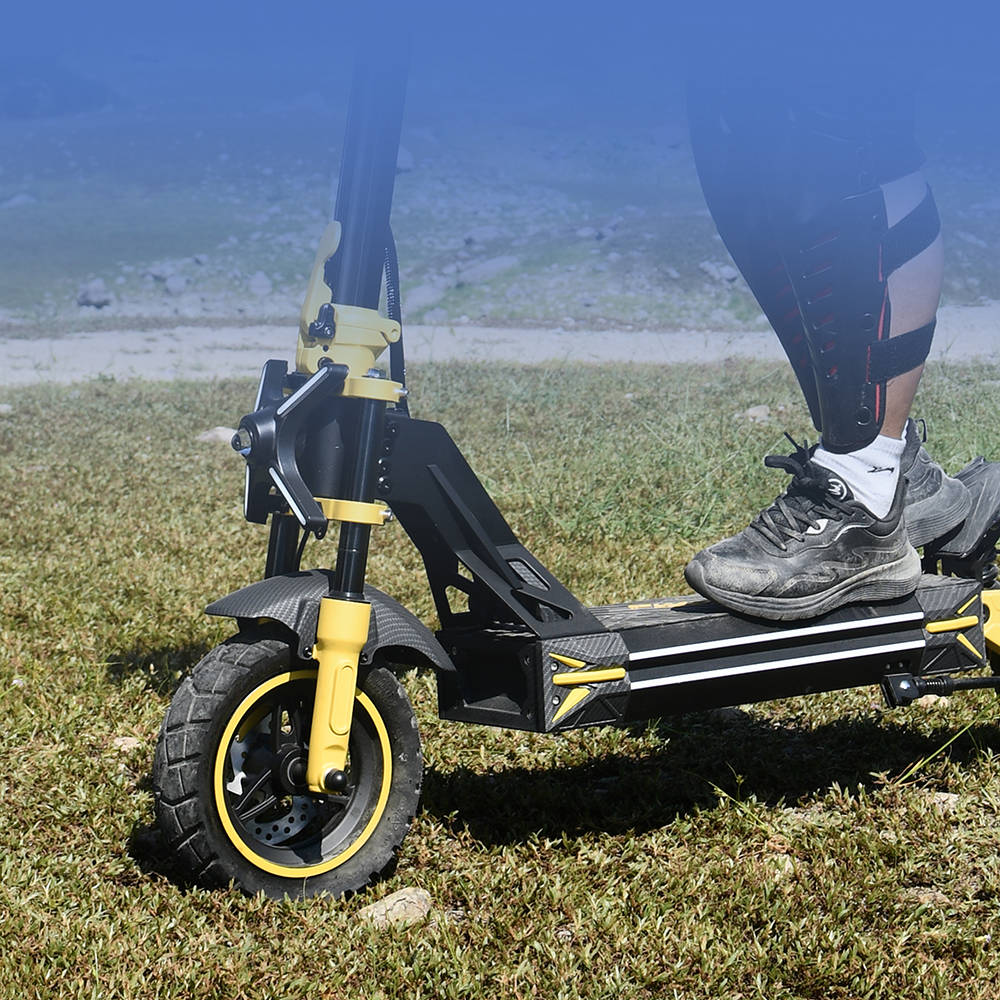 TWOFISH V2 MAX Electric Scooter, 800W Motor, 48V 20Ah Battery, 10 Inch Tires, 50km/h Max Speed, 50km Range, Dual Disc Brake, LCD Display, NFC Unlock