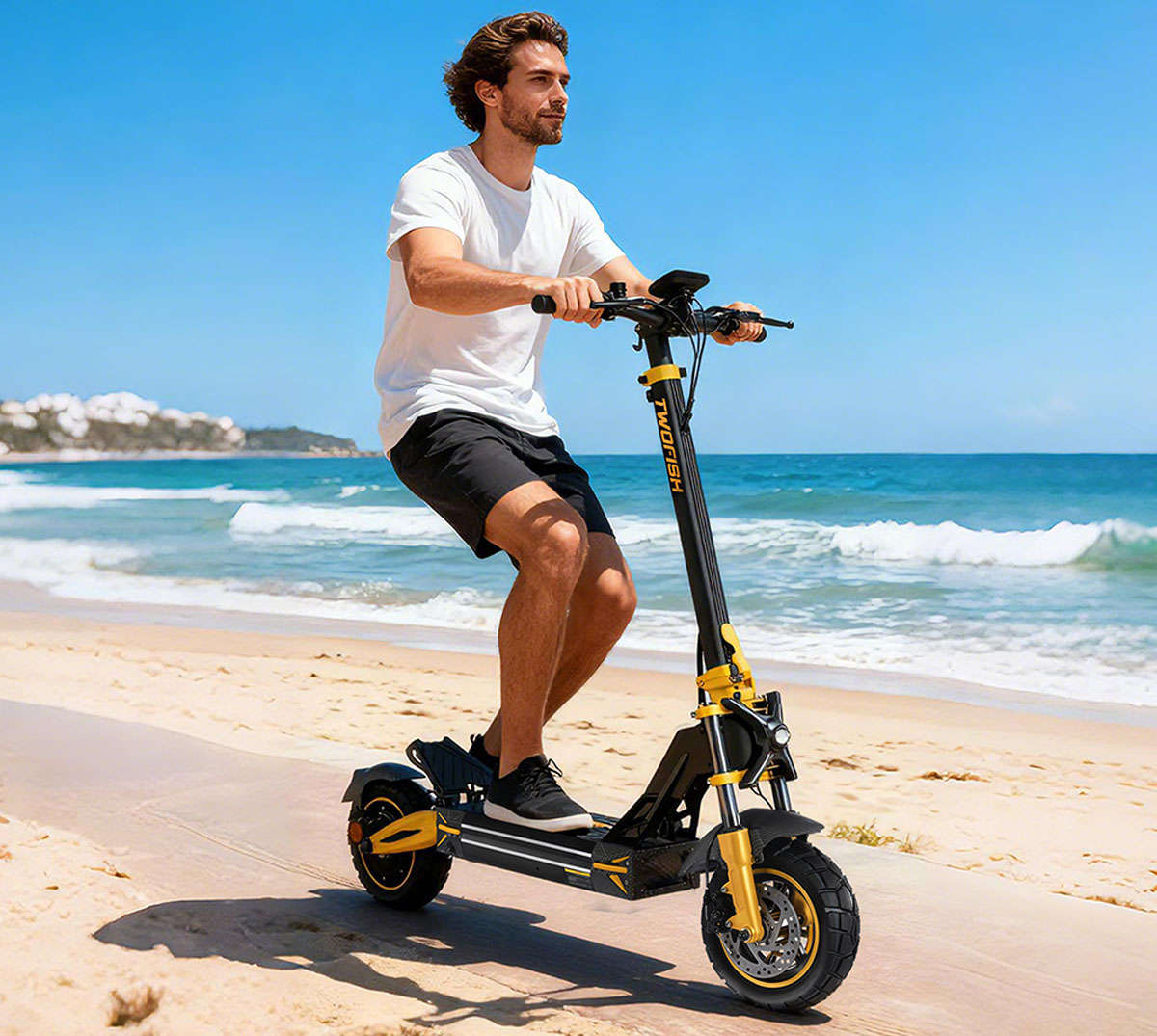 TWOFISH V2 MAX Electric Scooter, 800W Motor, 48V 20Ah Battery, 10 Inch Tires, 50km/h Max Speed, 50km Range, Dual Disc Brake, LCD Display, NFC Unlock