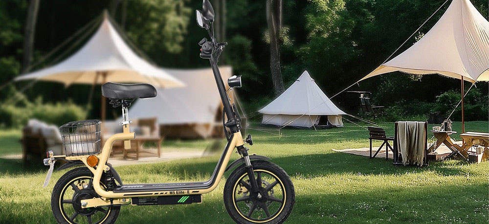 TWOFISH M5 Elite-e Scooter