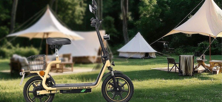TWOFISH M5 Elite-e Scooter
